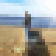 Thomas90Halle