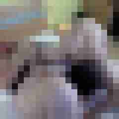 picturefreak
