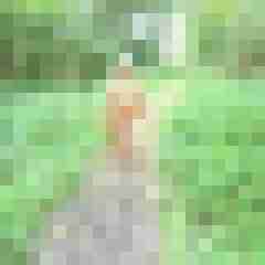 Letsy4u2c