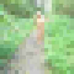 Letsy4u2c