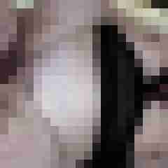 picturefreak