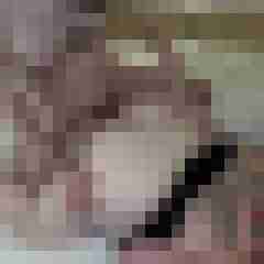 picturefreak