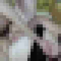 picturefreak