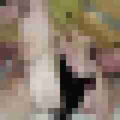 picturefreak