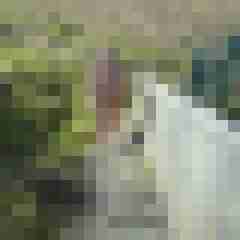 Letsy4u2c