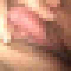 Hotte2