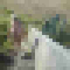 Letsy4u2c