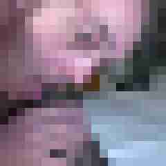 picturefreak