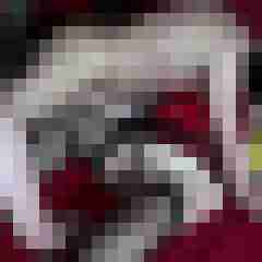 picturefreak