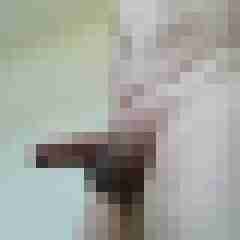 exib1