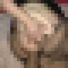 Irmarc