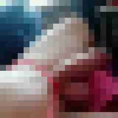 Paards