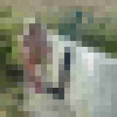 Letsy4u2c