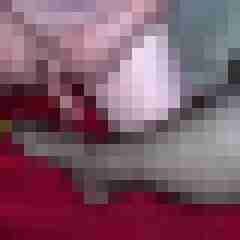 picturefreak