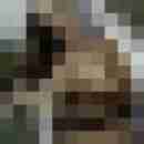 Phorus