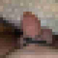 dominole
