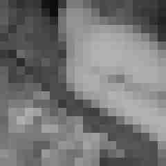 arschstute