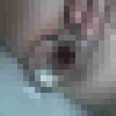 signothetimes