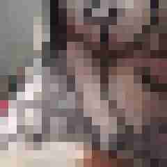 bi-lingam