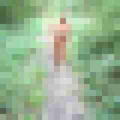 Letsy4u2c