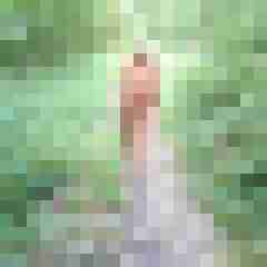Letsy4u2c