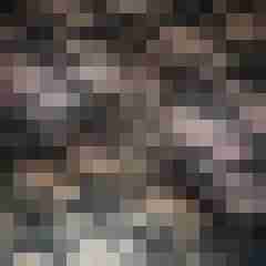 silberbody