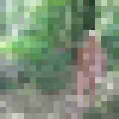 Letsy4u2c