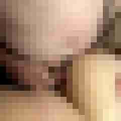 picturefreak