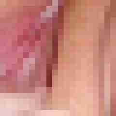 ichsuche56