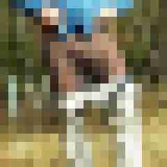 Haumphrey