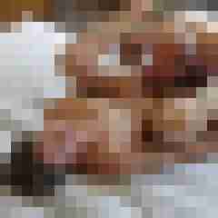 ifle50