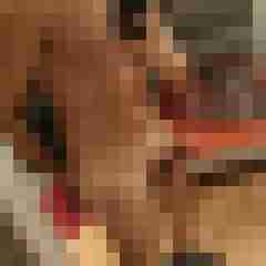Toni_Vitell