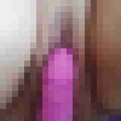 Paards