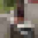 sexycampaar