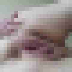 Bbw-Stute