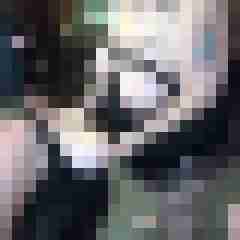picturefreak