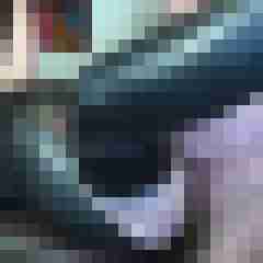 picturefreak