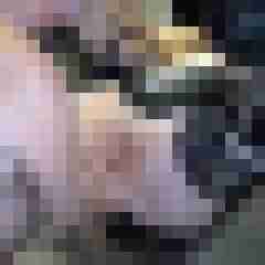 picturefreak