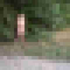 Letsy4u2c