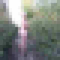 Letsy4u2c