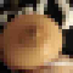 xxliebhaber