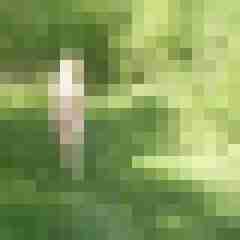 Letsy4u2c