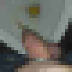dominole