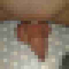 dominole