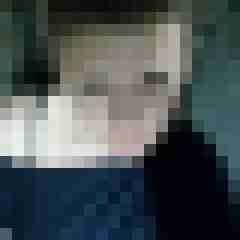 Mistbiene