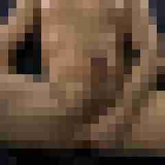 markusu03