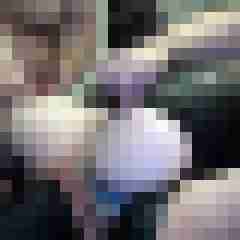 picturefreak