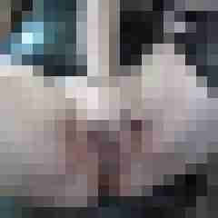 picturefreak