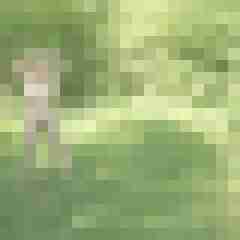 Letsy4u2c