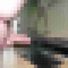 9 Bilder von caudabrevis